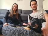 10.000 Absolvent*innen: Mit Sachkunde zum Hunde-Glück