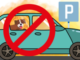 Hund alleine im Auto? Im Sommer ein No-Go!